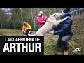 ARTHUR el Perro Ecuatoriano (La entrevista a Mikael Lindnord y la cuarentena HD)