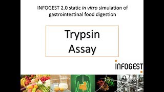 Trypsin Activity Assay for the INFOGEST 2.0 Method for Food (2019 update in Nature Protocols)