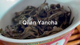 Qilan Wuyi Yancha Oolong Tea