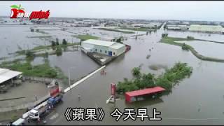 【蘋果空拍】心痛！嘉義東石淹四天　水深及腰靠竹筏移動 | 台灣蘋果日報