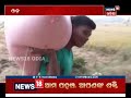 special report biparjyara barsha 24 dec 2018 news18 odia