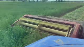 First cut hay in Ontario 2022