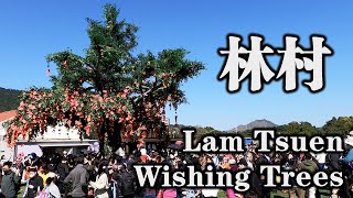 林村、林村許願樹、天后廟 Lam Tsuen、Lam Tsuen Wishing Trees、Tin Hau Temple 【CC繁體中文字幕】