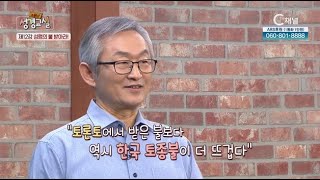 성령의 불 받아라!┃배본철 교수 12강┃C채널 [소문난 성경교실] 48회