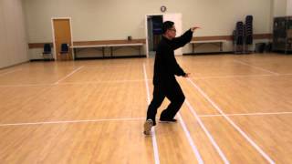 Traditional 26 Forms Yang Style Tai Chi from Side