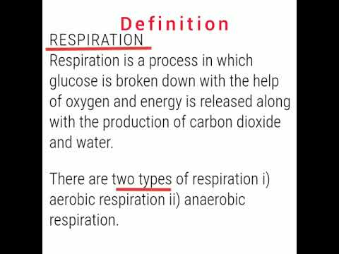 Is respiration a verb?