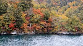 【旅エイター】紅葉前線『船上からの十和田湖③』　青森県十和田市・一人旅