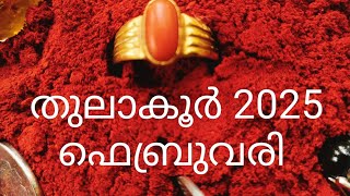 ചിത്തിര 3 4, ചോതി, വിശാഖം 1 2 3പാദം 2025 ഫെബ്രുവരി |ഉപാസകൻ