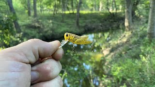 Rebel. Lures! Crickhopper Fishing! What can we Catch? Best Creek Fishing Lure? Walmart Fishing Lure!