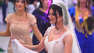 Honer Kendali/ Tayser \u0026 Thamir/Part 01 /4K #kurdish #hochzeit  #MirVideoProduction ®