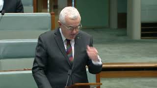 Andrew Wilkie speaks on the NDIS