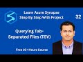 How to Query   Tab separated File In Synapse