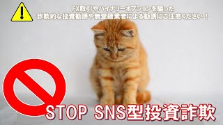 STOP SNS型投資詐欺（ネコ編②）