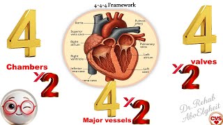 Cardiovascular Physiology- Lec 1 Introduction to CVS