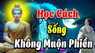 Ở Đời Điều Quý Nhất Không Phải Tiền Bạc Danh Lợi Mà Là Giữ Cho Nội Tâm Trong Trẻo Không Muộn Phiền!