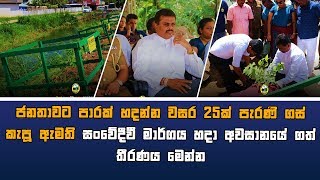 ජනතාවට පාරක් හදන්න වසර 25ක් පැරණි ගස් කැපූ ඇමති සංවේදීවී අවසානයේ ගත් තීරණය මෙන්න