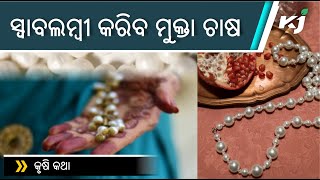 ସ୍ୱାବଲମ୍ବୀ କରୁଛି ମୁକ୍ତା ଚାଷ  l PEARL FARMING  l ODISHA GOVT  l  5T  l  SPECIAL STORY