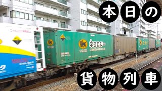 【本日の貨物列車】No.1184　2024,2,2　第1050番列車　Today‘s freight train