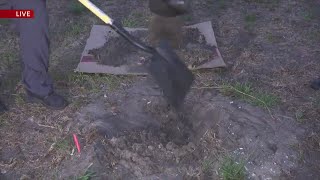Digging up Panama City's past