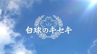 白球のキセキ3年目やっていく！！【プロスピ2024】【プロ野球スピリッツ2024】【アカgames】