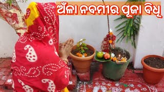 ଅଁଳା ନବମୀ ପୂଜା ଘରେ କିପରି କରିବା // ଏହି ଦିନ କଣ କଣ କରିବା //Amla navami puja vidhi // bohumuodiani //