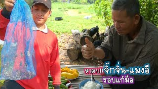 หาตบ!!จั๊กจั่น-แมงอี รอบแก้มือ เมนูแซบหลาย/บ้านนาพาสุข EP.88