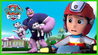 Psi Patrol powstrzymuje olbrzymiego Humdingera i nie tylko! - Psi Patrol PAW Patrol po polsku