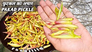 फुटकल का अचार | पाकड़ की कोपलों का अचार / Futkal Pickle / Putkal /