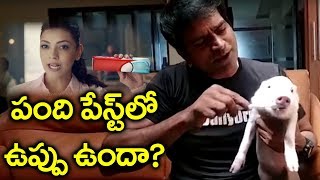 పందికి పళ్ళు తోముతున్న రవి బాబు | Ravi Babu Cleaning Pig Teeth | Latest Viral Videos | Jaffa News