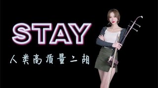 【二胡】最新洗脑神曲「STAY」用二胡演奏是什么效果？