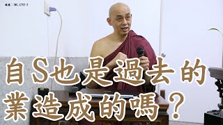 自S也是過去世的業造成的嗎？南傳上座部佛教：覓寂尊者開示。說明欄有電子書下載及一日禪修資訊。 | 巴利三藏 | 佛法問答|禪修| 阿毗達摩| 清淨道論|法句經