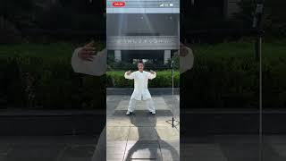 太乙游龙拳1. 卧龙伸筋