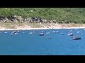 delfin u neumu dolphin in neum