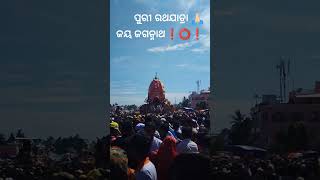 ତମ ରଥ ଗଡିବନି କି ପ୍ରଭୁ ଏଇ ବର୍ଷ #athayatra2024#ଜଗନ୍ନାଥ ସ୍ୱାମି #jaga#jagannathlover #youtubeshorts #fst