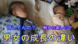 【男女の違い】成長の差が出てきた！二卵性双子(男女)赤ちゃん生後105日 mix twins difference in growth of the man and woman