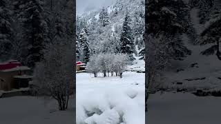 Kalam valley #kalamvalley #vlog #mrizwan #snowfall #kalam #snow #shorts #videoshort #travel