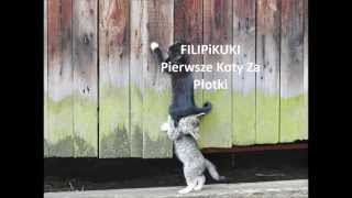 FILIPiKUKI  - Pierwsze Koty Za Płotki