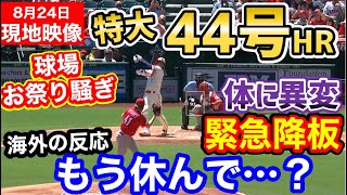 大谷翔平、特大44号ホームランに球場が揺れた！しかし投手として緊急降板さらに試合からも退く事態に、世界から心配の声「オオタニさんもう休んで…」【海外の反応】