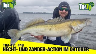 TBA TV: Team Boddenangeln #48 | Hecht- und Zander-Action im Oktober