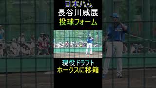 【現役ドラフトでソフトバンク移籍】長谷川威展の投球フォーム【2021年ドラフト6位】