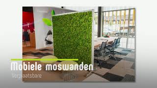 Moswand - Product 'Mobiele moswand'