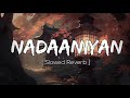 Nadaaniyan (Slowed + Reverb) | Akshath | New Song 2024