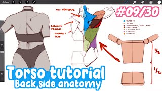 how to draw TORSOS in back view like a Pro! | Full Drawing Tutorial - Art Bootcamp #09/30