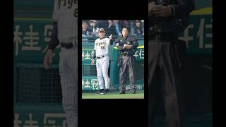 【岡田彰布】どんでんと白井３選【おーん】【阪神岡田監督】【阪神タイガース】