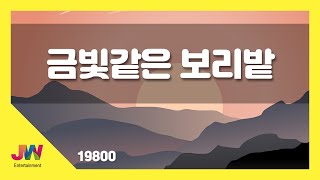 [JW노래방] 금빛같은 보리밭 / JW 동요 / JW Karaoke