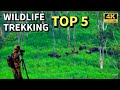 കേരളത്തിലെ അതിസാഹസികമായ ട്രെക്കിങ്ങുകൾ | Most Adventurous Wildlife Trekkings in Kerala | 4K UHD