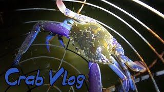 Bagging out on Crabs | Mandurah Estuary | Vlog 14