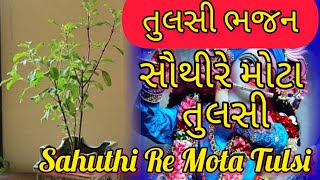 સૌથીરે મોટા તુલસી ।।તુલસી ભજન ।। Sahuthi Re Mota Tulsi || Tulsi Bhajan || Tulsi Mata ke Bhajan.