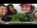 maximizing growth rates of various lettuce cultivars in an aquaponics system