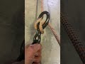 how to install a figure 8 for rappelling